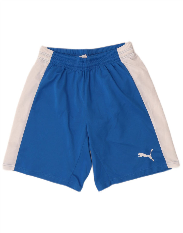 Мужские спортивные шорты Puma, маленькие синие цветные блоки