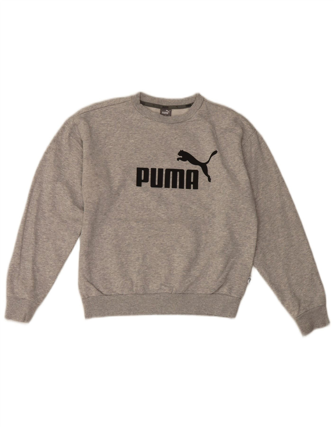 Мужской свитшот с рисунком Puma XS, серый хлопок