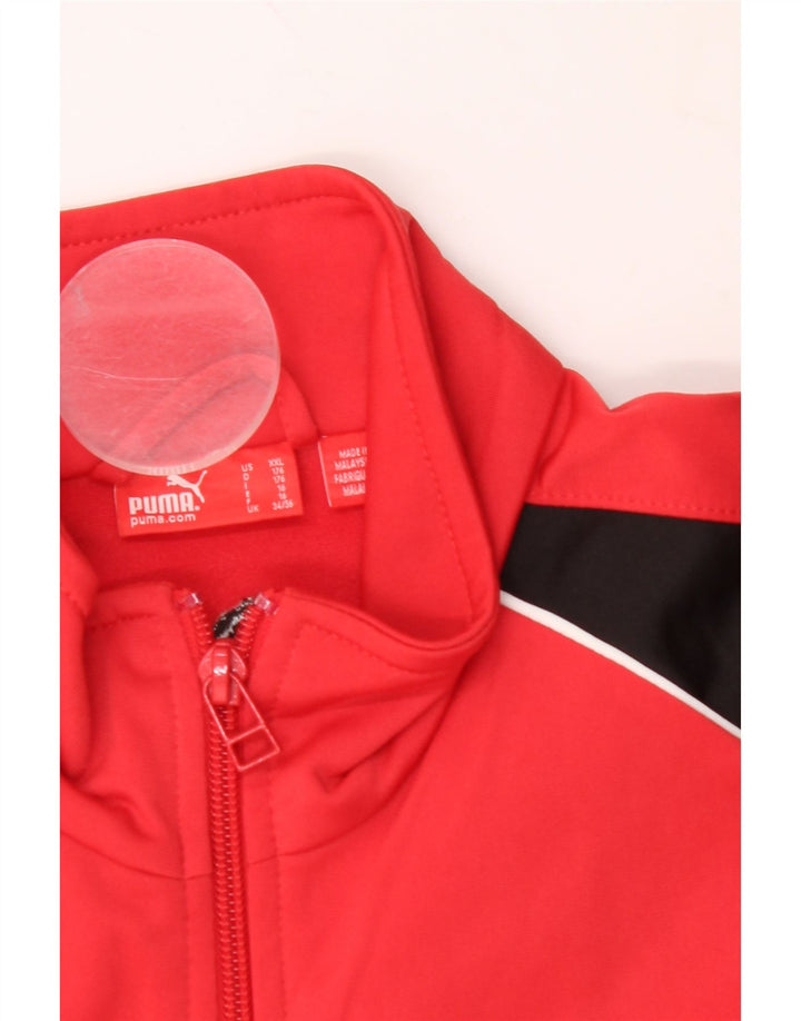PUMA Boys Tracksuit Top Jacket 15-16 Years Red Colourblock Polyester