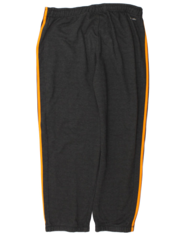 Мужские спортивные брюки Adidas Climalite XL, серый полиэстер