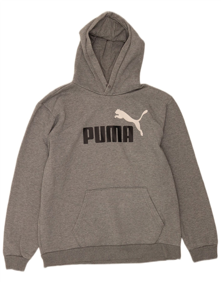 Мужской джемпер с капюшоном с рисунком Puma, большой серый