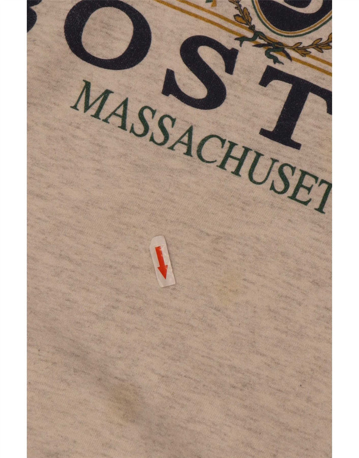 Мужской свитшот с рисунком Boston, XL, серый хлопок
