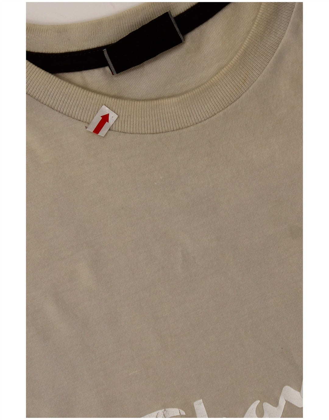 Мужская футболка с рисунком Champion 2XL, серая, хлопок