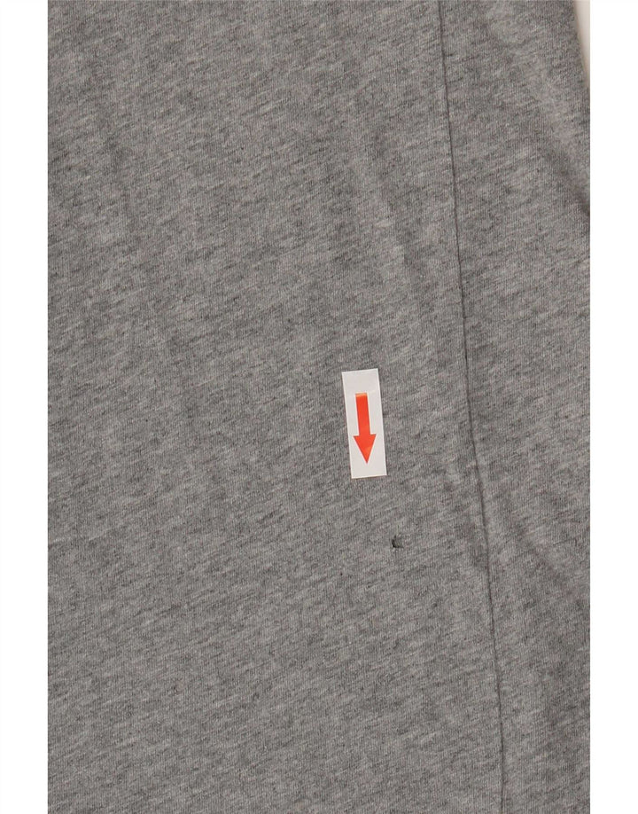 Мужская футболка с рисунком Champion Top XL Серая