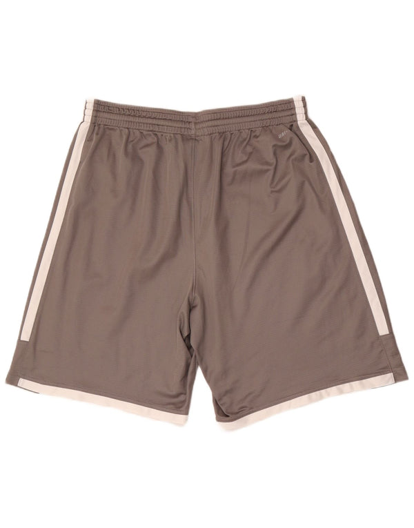 Мужские спортивные шорты Nike Dri Fit XL, серые, полиэстер с цветными блоками