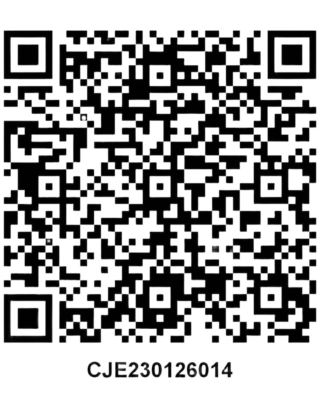 Мужской джемпер с капюшоном Canterbury IRFU, большой серый, полиэстер с цветными блоками