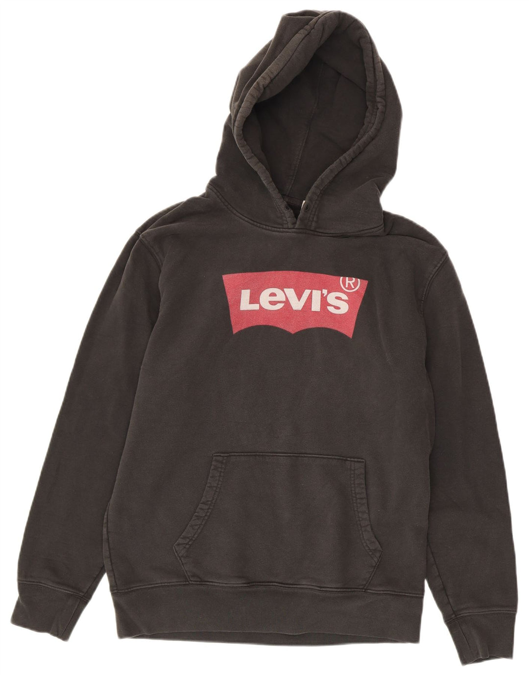 Мужской джемпер с капюшоном Levi's Standard, черный, хлопковый, среднего размера