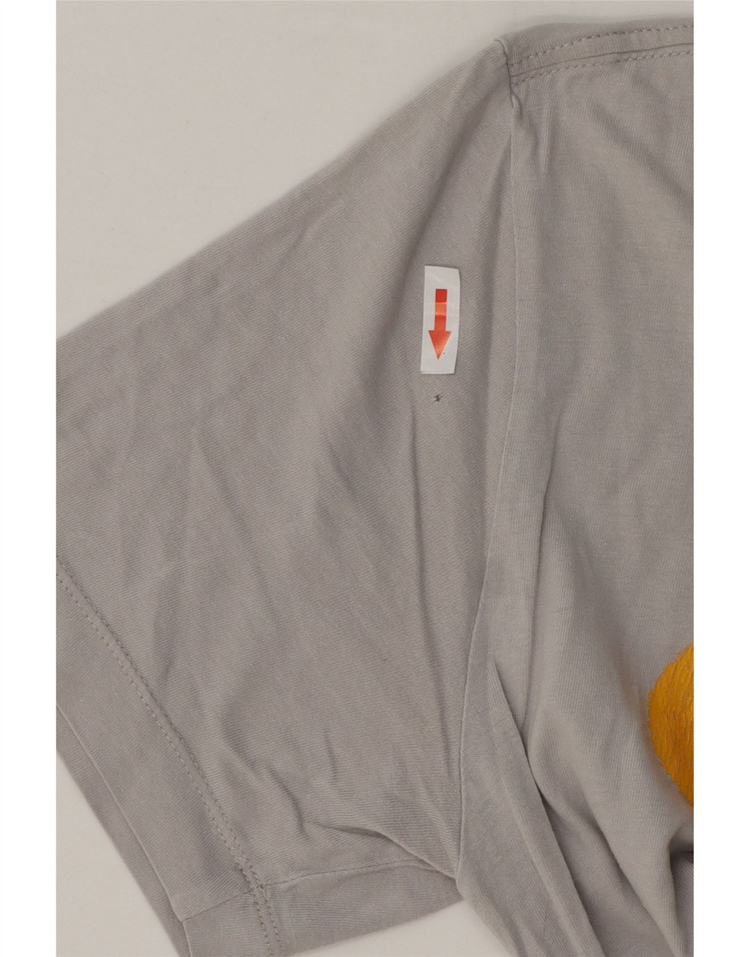 Мужская футболка с рисунком Nike Top XS, серый хлопок
