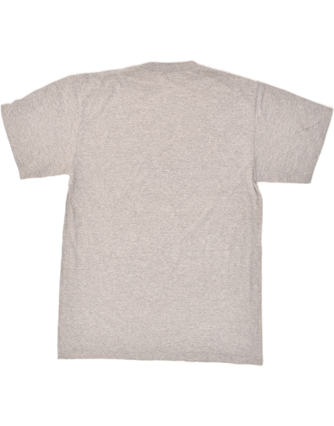 CHAMPION Mens Graphic T-Shirt Top Large Grey Cotton Vintage Champion and Second-Hand Champion from Messina Hembry 