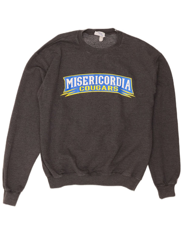 Мужской джемпер с рисунком Champion Misericordia Cougars, средний серый