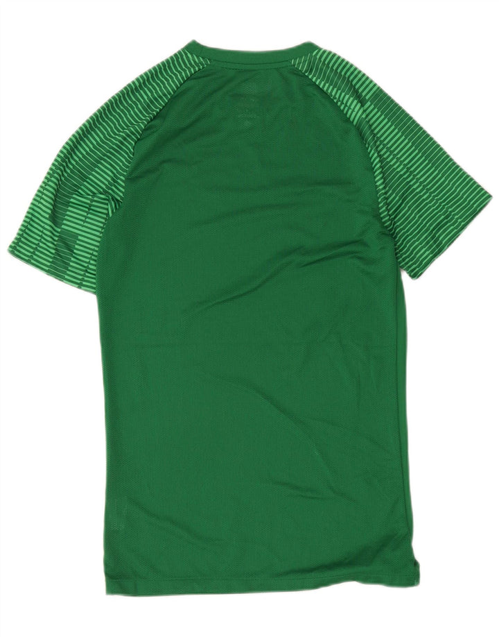 Мужская тонкая футболка Nike Dri Fit из полиэстера в маленькую зеленую полоску