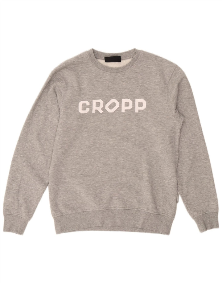 Мужской свитшот Cropp стандартного кроя с рисунком, маленький серый хлопковый джемпер