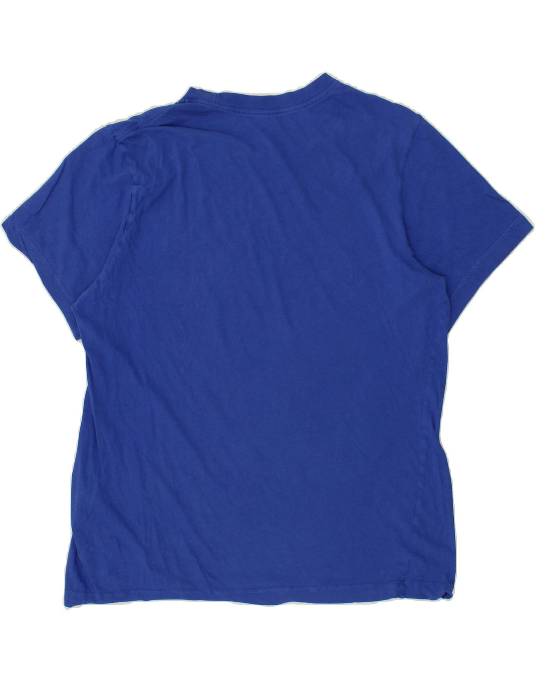 NIKE Mens Graphic T-Shirt Top Large Blue Cotton Vintage Nike and Second-Hand Nike from Messina Hembry 