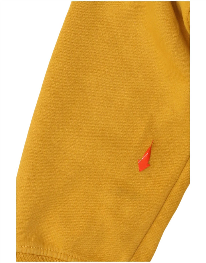 Мужской джемпер с капюшоном CHAMPION с рисунком, маленький желтый, хлопок