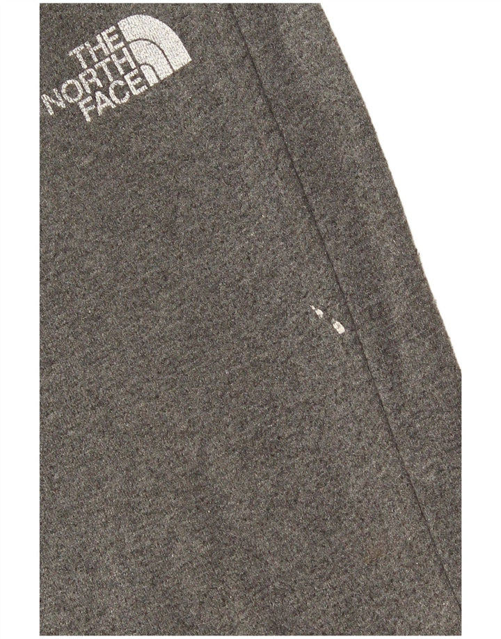 Мужские спортивные брюки The North Face XS серые