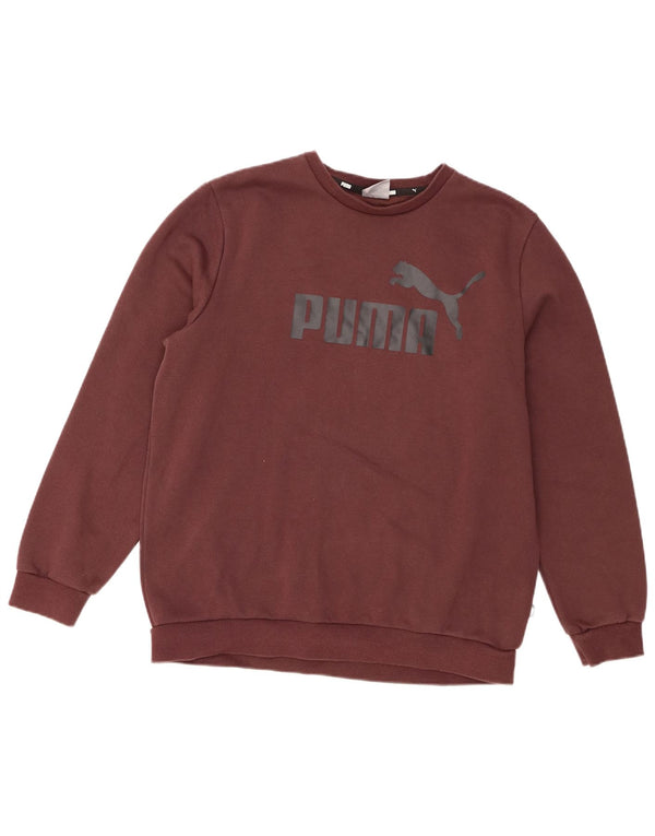 Мужской свитшот с рисунком Puma, средний коричневый