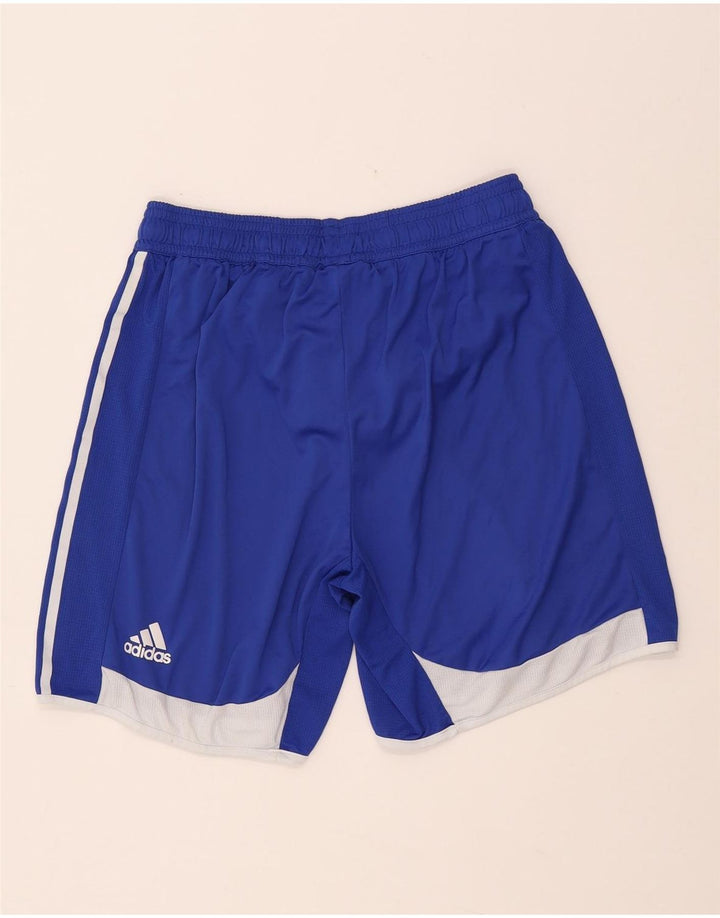 Мужские спортивные шорты ADIDAS Climacool, большие синие, полиэстер с цветными блоками