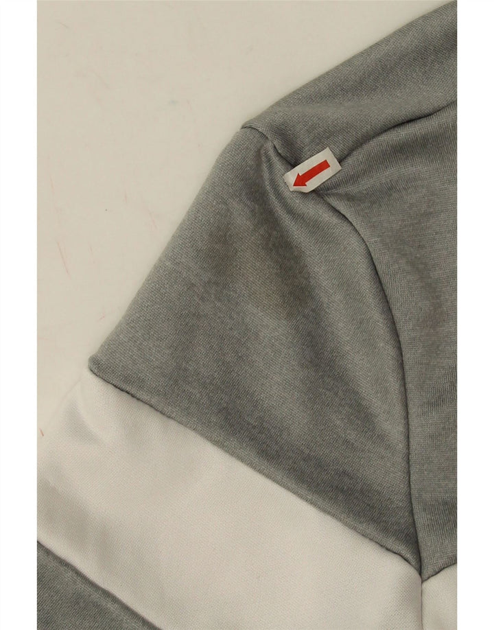 Ellesse Мужской свитшот с рисунком, маленький серый полиэстер с цветными блоками