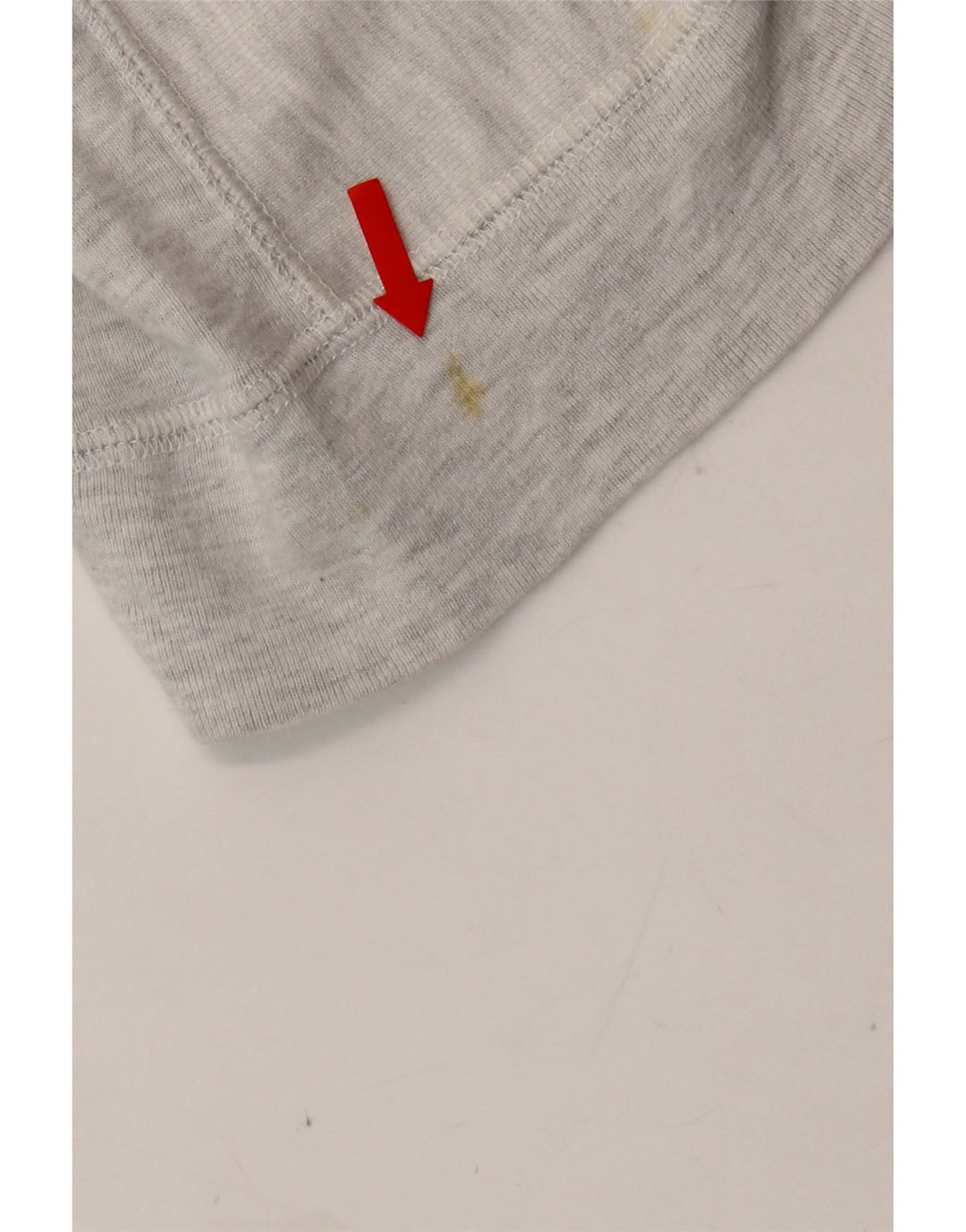 CHAMPION Womens Le Moyne College Sweatshirt Jumper UK 14 Medium Grey Vintage Champion and Second-Hand Champion from Messina Hembry 
