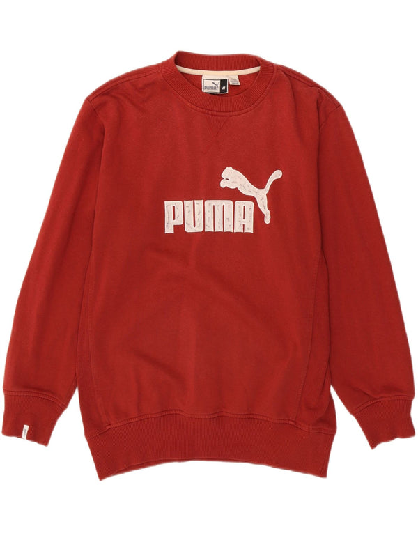 Толстовка мужская с рисунком PUMA, средний красный