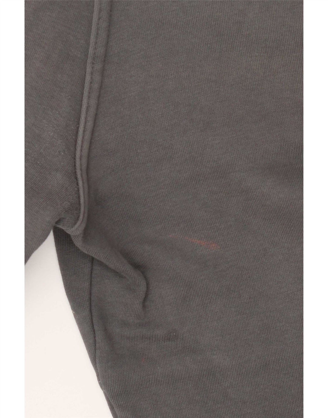 Мужские спортивные брюки The North Face, джоггеры, хлопок среднего серого цвета