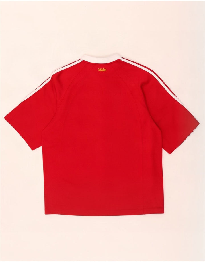 Мужская футболка Adidas Zurich с графическим рисунком Верх среднего красного цвета из полиэстера с цветными блоками