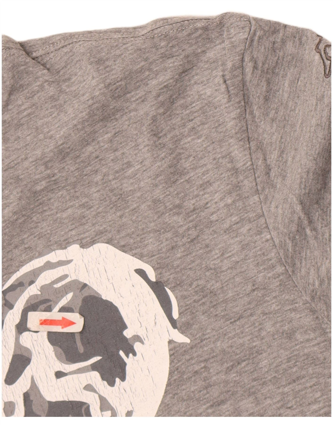 Мужская футболка с рисунком Kappa, большая, серая