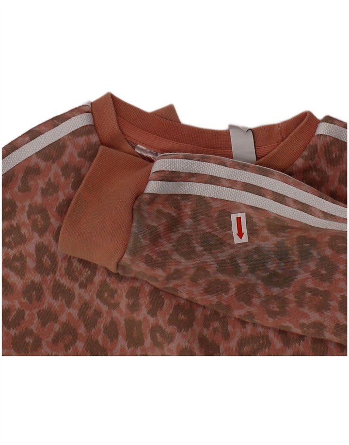 Полный спортивный костюм ADIDAS для маленьких девочек 18–24 месяцев, розовый хлопок с животным принтом