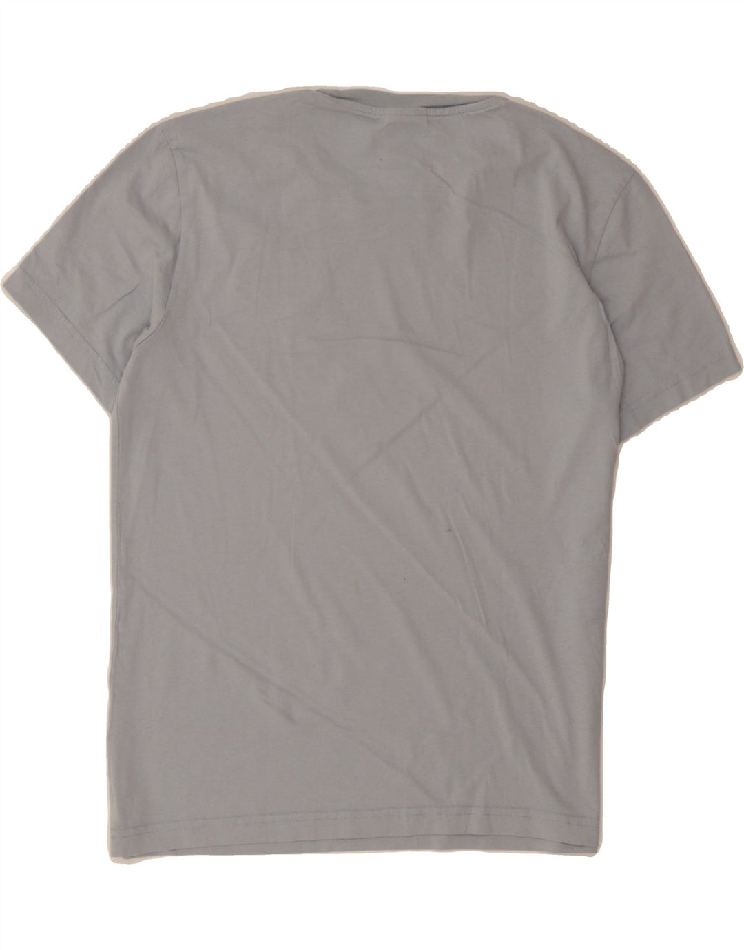 CHAMPION Mens Graphic T-Shirt Top Small Blue Vintage Champion and Second-Hand Champion from Messina Hembry 