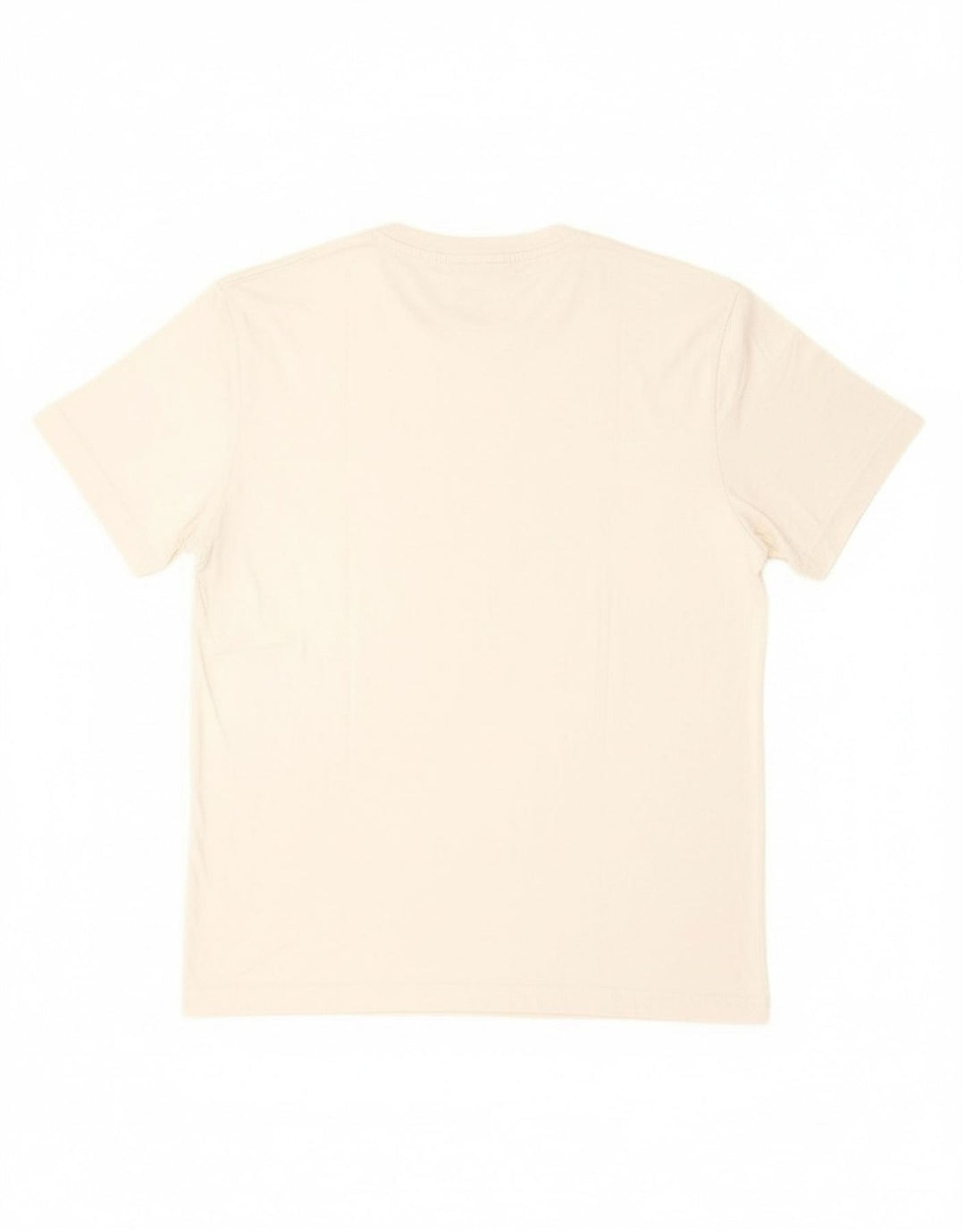 CHAMPION Mens Graphic T-Shirt Top Medium White