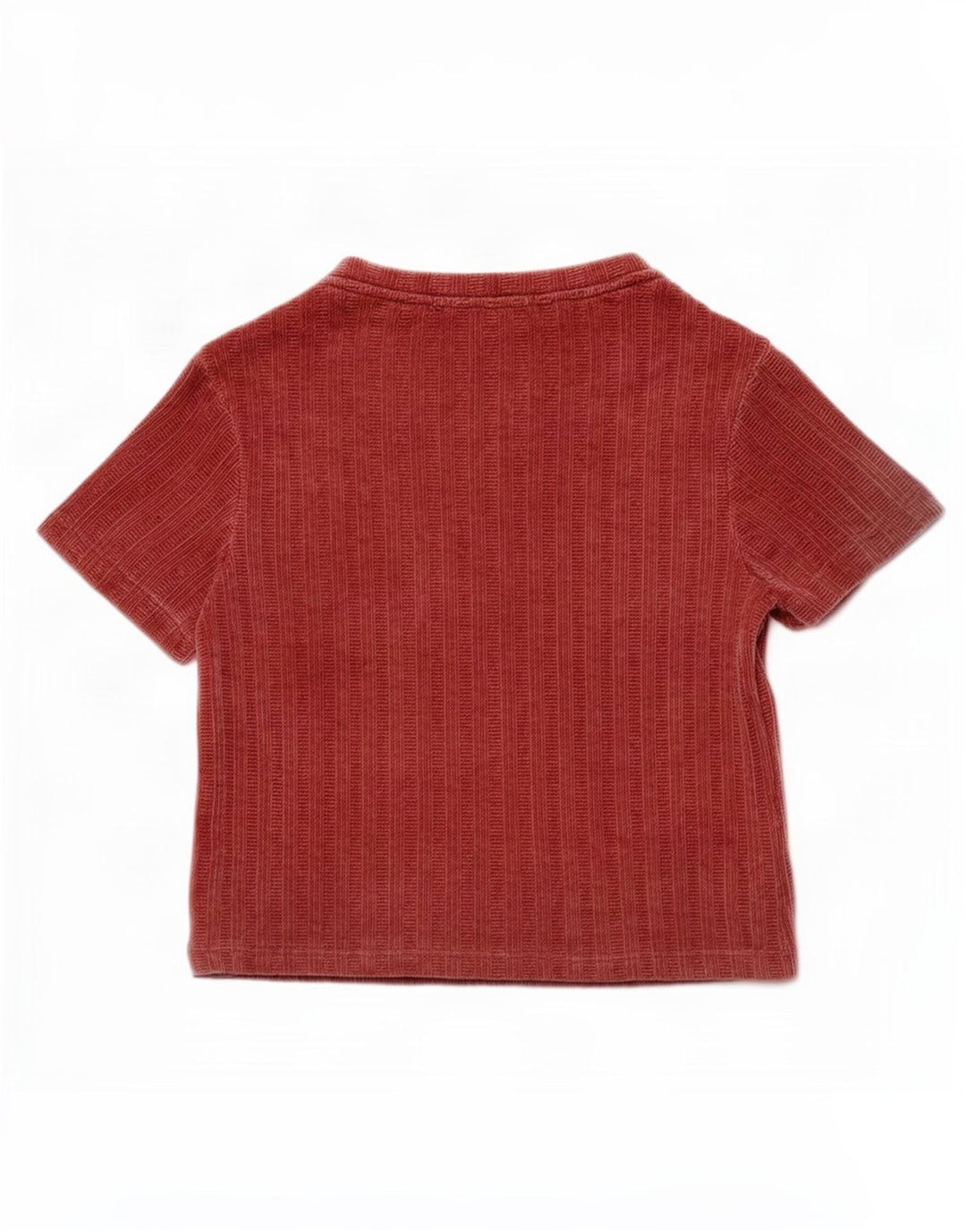 Женская велюровая блузка Zara Top UK 10, маленький красный полиэстер