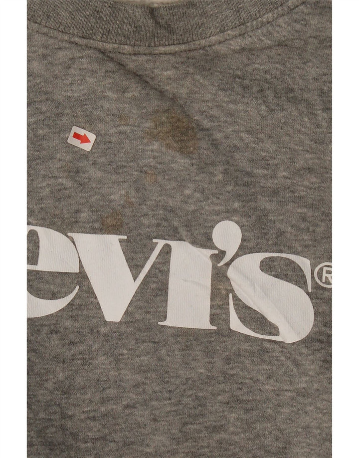 LEVI'S Mens Graphic Relaxed Fit Sweatshirt Jumper XL Grey Cotton Vintage Levi's and Second-Hand Levi's from Messina Hembry 