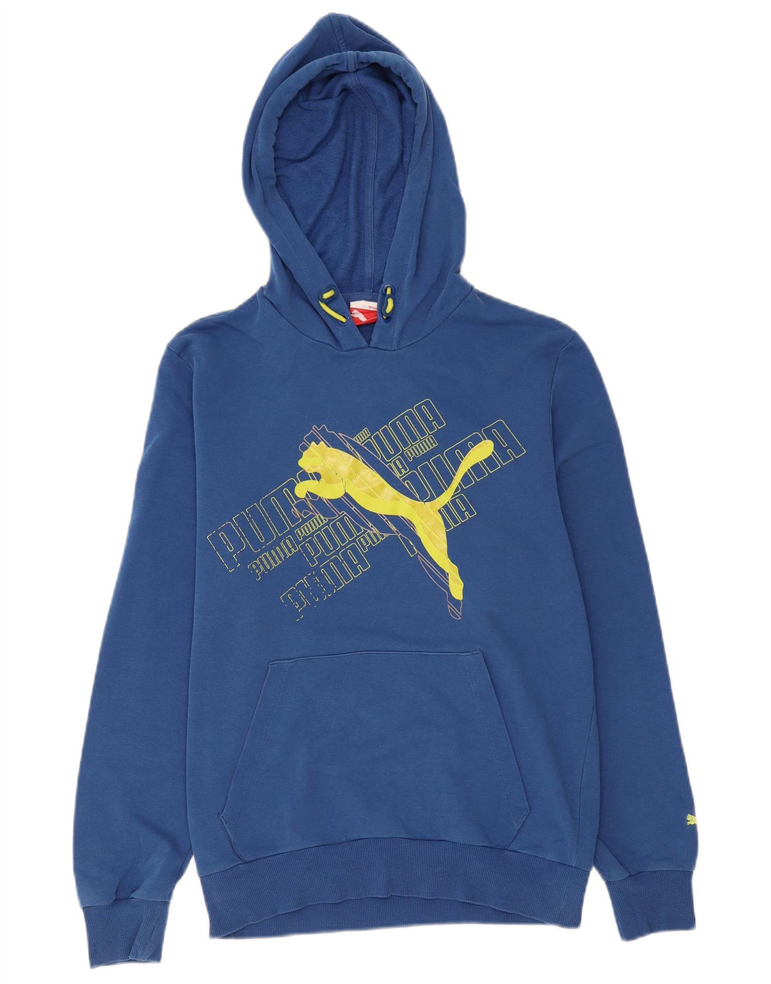 Толстовка мужская с рисунком PUMA, маленькая, синяя
