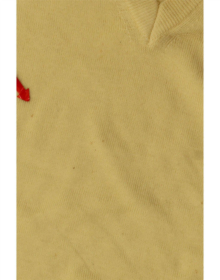 Мужской джемпер с v-образным вырезом Erin, большой желтый свитер из натуральной шерсти