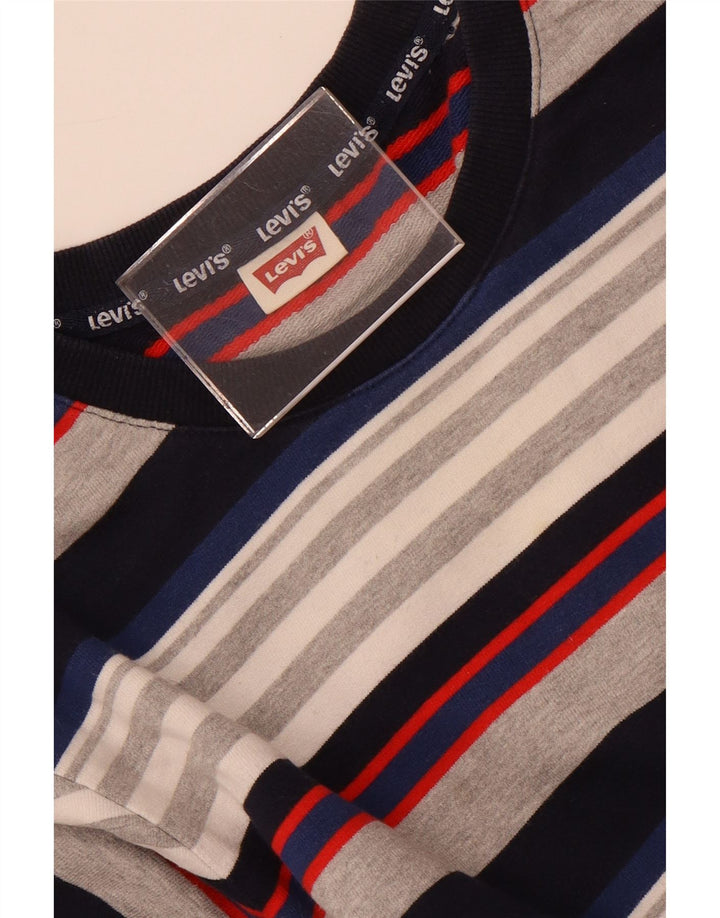 Мужской свитшот Levi's, маленький джемпер в разноцветную полоску