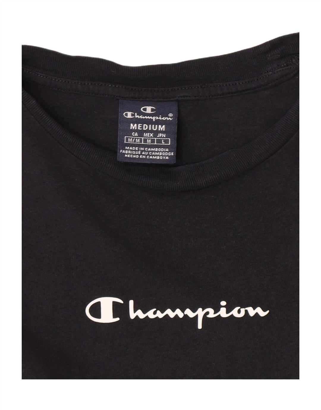 Мужская футболка с рисунком Champion, средний черный, цветной блок