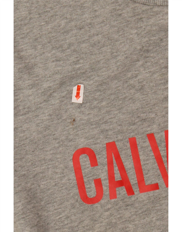 CALVIN KLEIN Мужской свитшот с рисунком, средний серый