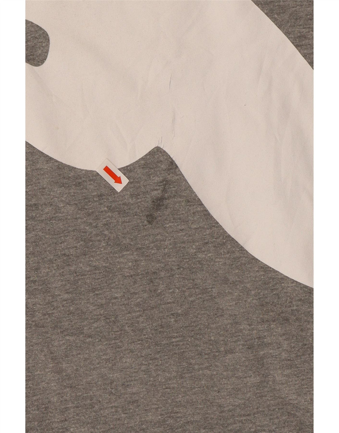 Мужская футболка с рисунком PUMA Top 2XL Серая