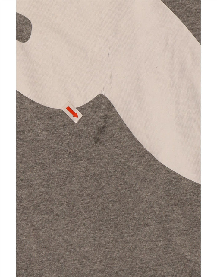 Мужская футболка с рисунком PUMA Top 2XL Серая