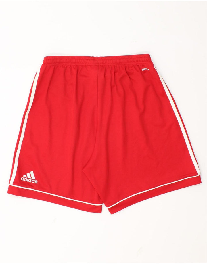 Мужские спортивные шорты Adidas Climalite, средний красный полиэстер