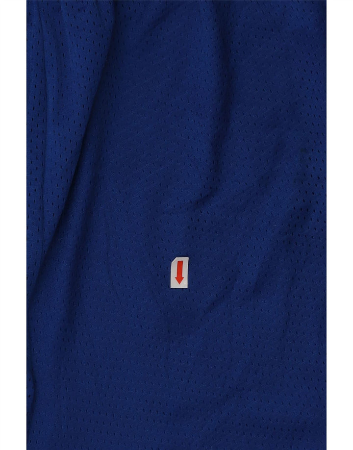 Мужские спортивные шорты с рисунком RUSSELL ATHLETIC XL, синие, полиэстер