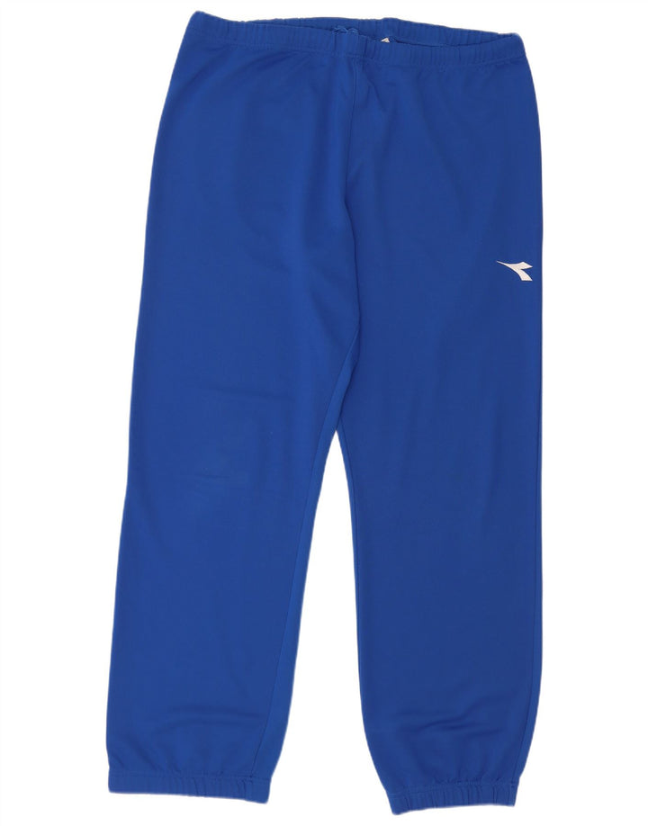 Мужские спортивные брюки Diadora, джоггеры, большие синие, полиэстер