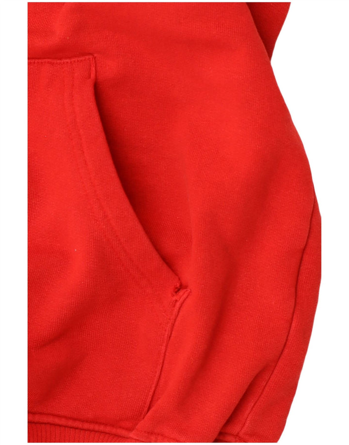 THE NORTH FACE Мужской джемпер с капюшоном с рисунком, маленький красный, хлопковый