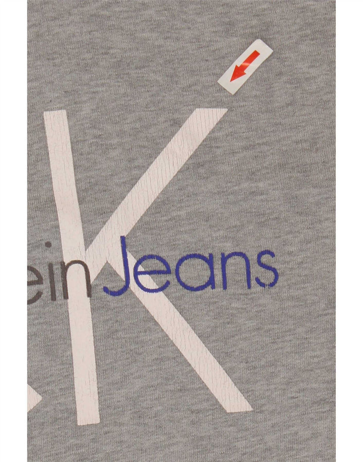 Мужской джемпер с капюшоном с рисунком Calvin Klein Jeans среднего серого цвета