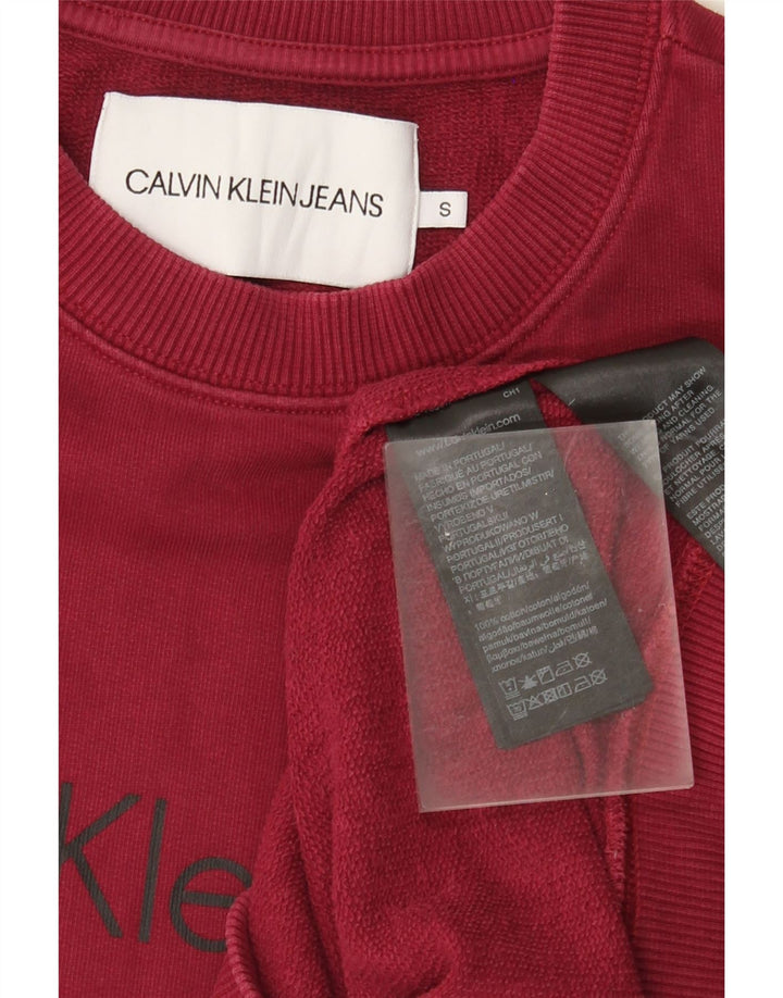 Мужской свитшот с рисунком Calvin Klein Jeans, маленький красный хлопковый джемпер