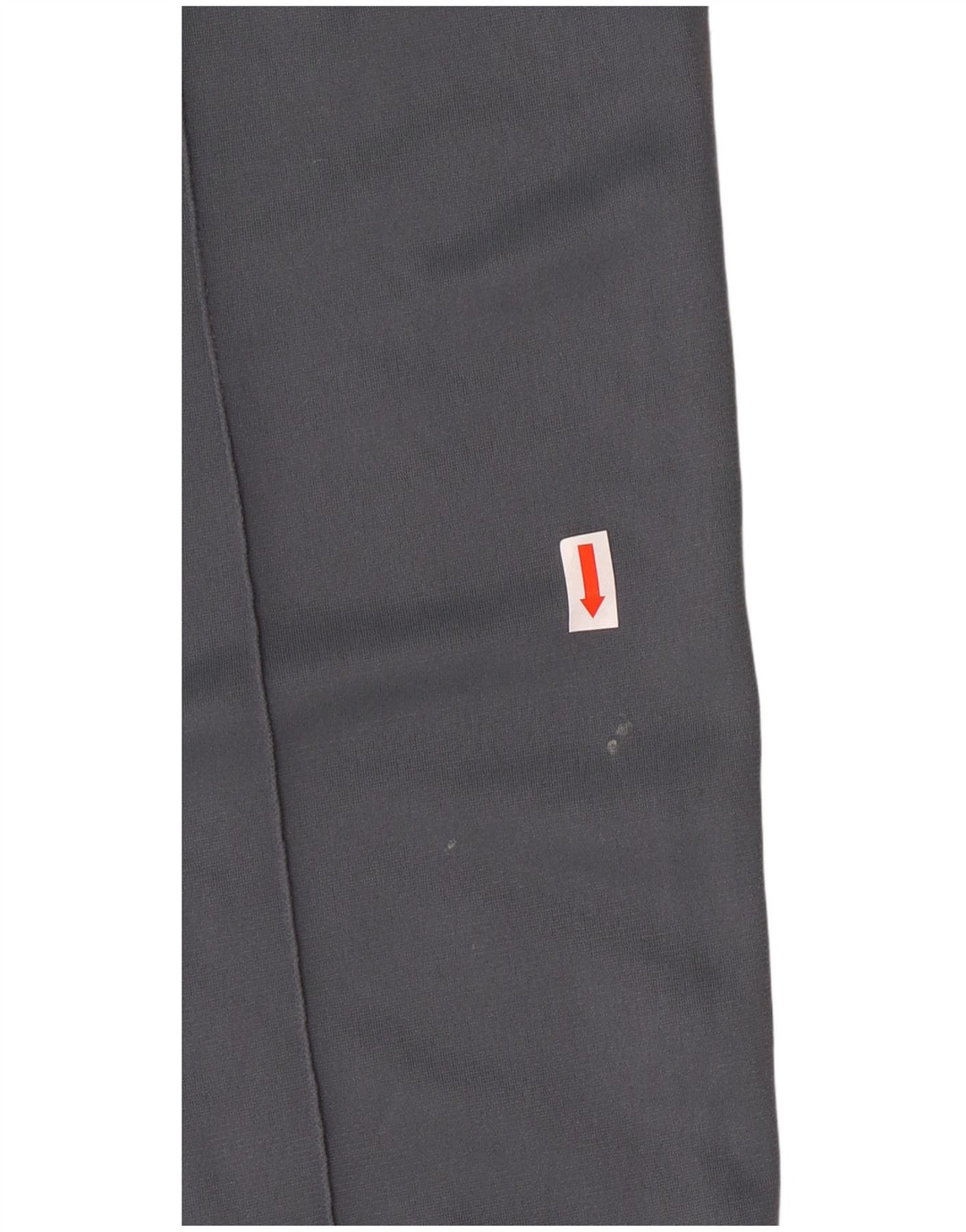 CHAMPION Mens Tracksuit Trousers Medium  Blue Polyester