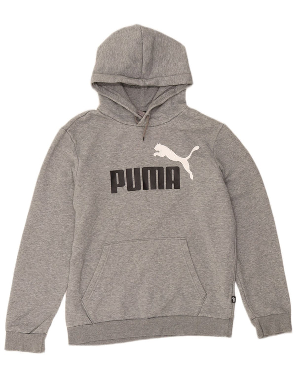 Мужской джемпер с капюшоном Puma, маленький серый, хлопковый