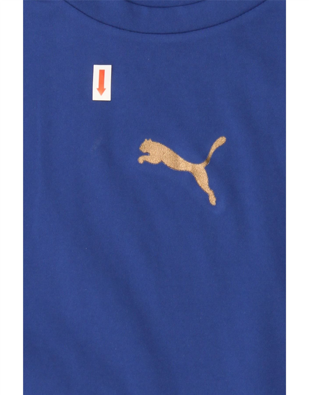 PUMA Mens Graphic T-Shirt Top Medium Blue Polyester Vintage Puma and Second-Hand Puma from Messina Hembry 
