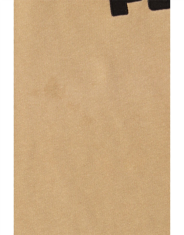 Мужской свитшот с рисунком PUMA, большой бежевый, цветной блок