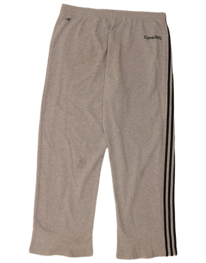 Мужские спортивные брюки Adidas 2XL Серый хлопок